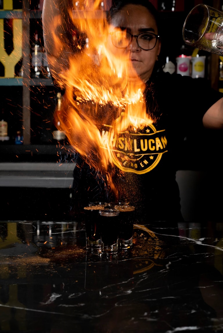 Negocios de Grupo Emega